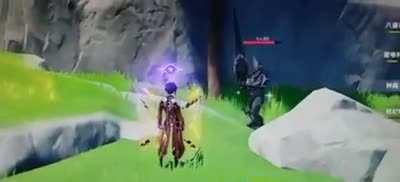 Shadowy husk healing mechanism video