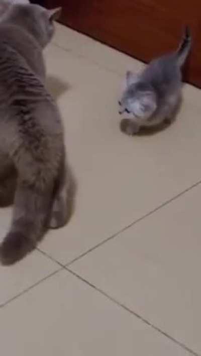 Not all heroes wear capes