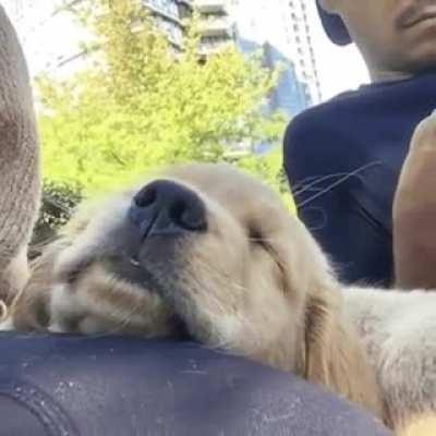 Pressing the Off button.