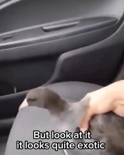 Can anyone identify this unit that this man wants to repurpose for his own usage?