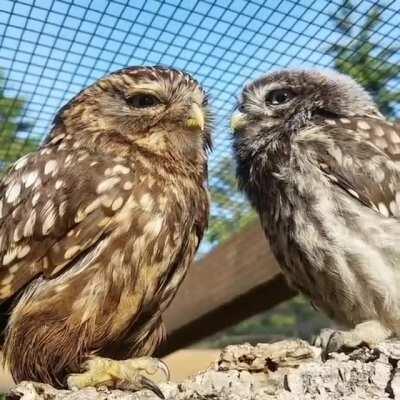 How romantic this Moment??