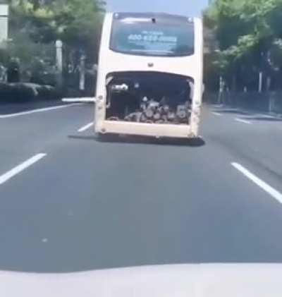 Bitch, I’m a dancing bus