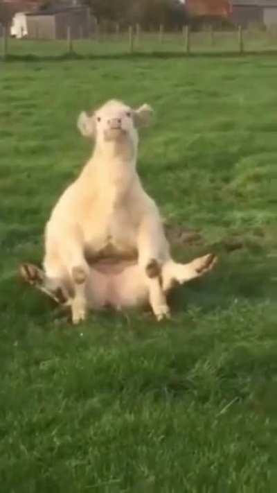 When you’ve got a itch that needs scratching & you got to find a way 😂