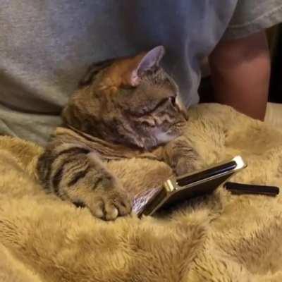 Guess I'm a cellphone prop now