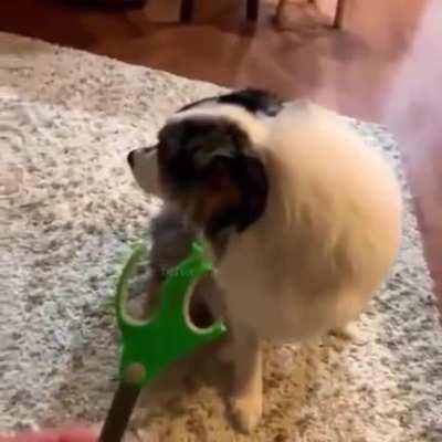 No no, not me, Chloe did it!