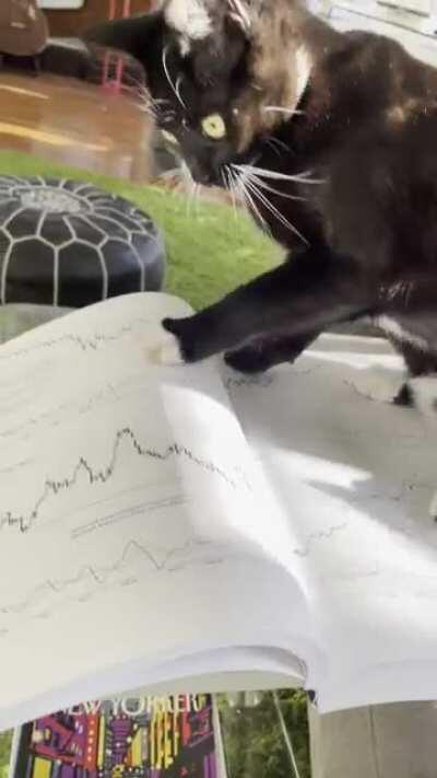 Ellie does her chart work...