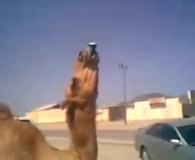 Luangameplay666 - Video #1147