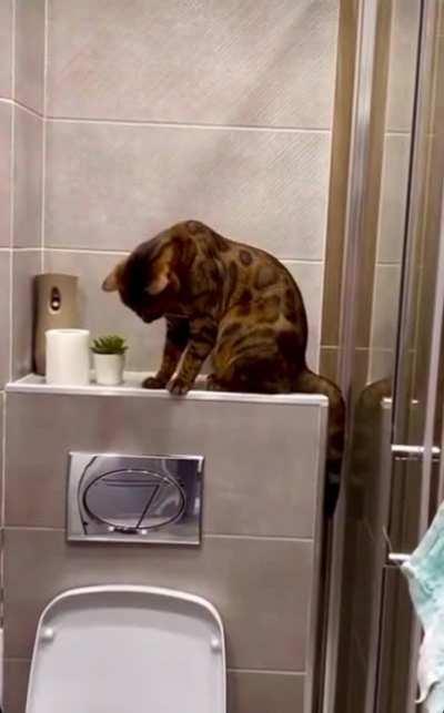 Disapproving Interior Designer