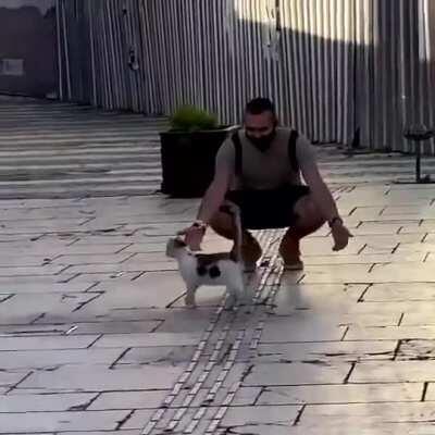 Let me play with this hooman's mind