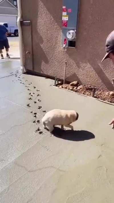 Wooo, new concrete, let's make some marks.