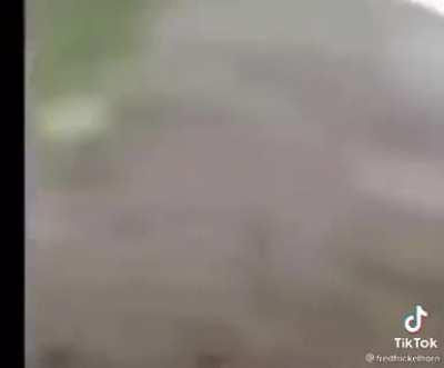 This is slightly interesting