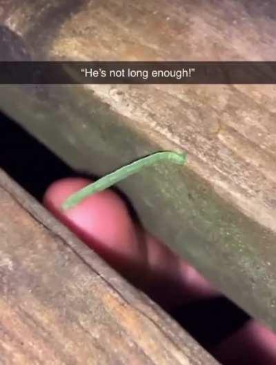 He’s not long enough