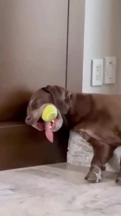 Sleeping with his favourite ball