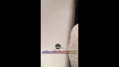 Cand a venit factura scadenta