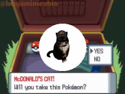 Which starter are you picking?