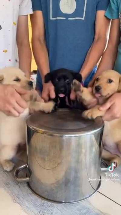 they are so CUTE 😍