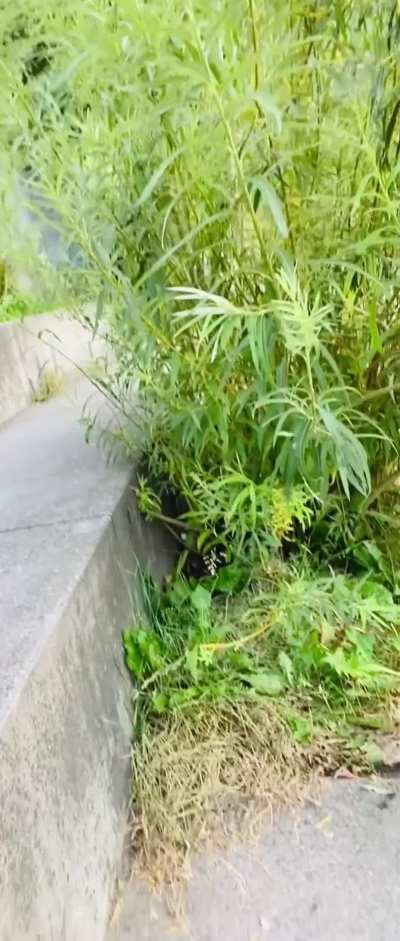 Sehr benutzt und angeschwollen. Schöne Friti abä ❤️