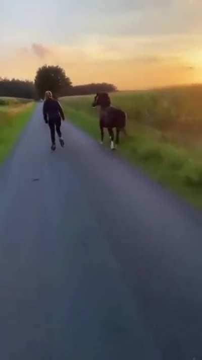 Девушка выгуливает лошадку и собаку