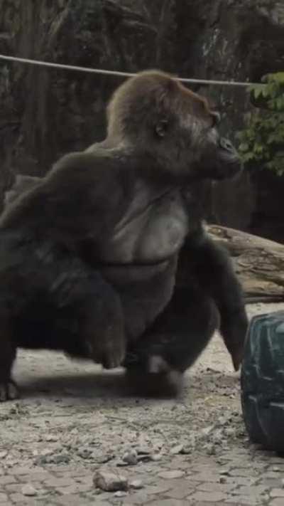 This is so deep 😔