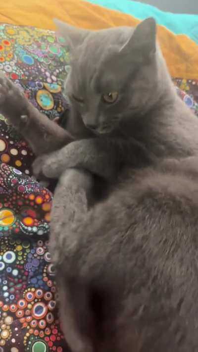 Stormy == android fan confirmed