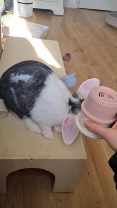 An adorable bundle of constant chaos..