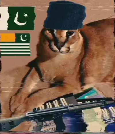 Floppa has joined the Kashmiri Mujahideen