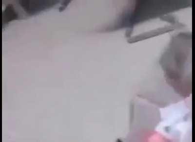 Том и Джери в реальной жизни