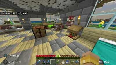 [Minecraft] I guess he went to Brazil