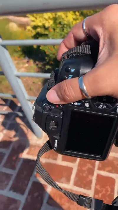 📷🏞️belleza de memoria ⬆️