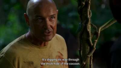 This was one of the best scenes in season 1...and after this scene I decided I would complete the whole six season!!