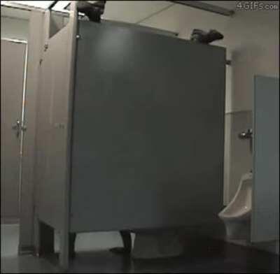 Thanks, I hate backward acrobatic pooping