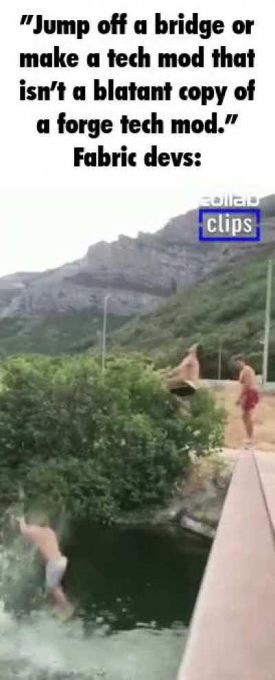 the gif is accurate as there are only 5 fabric devs