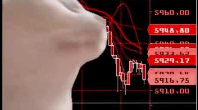 Thanks Elon, Cat Don't Care