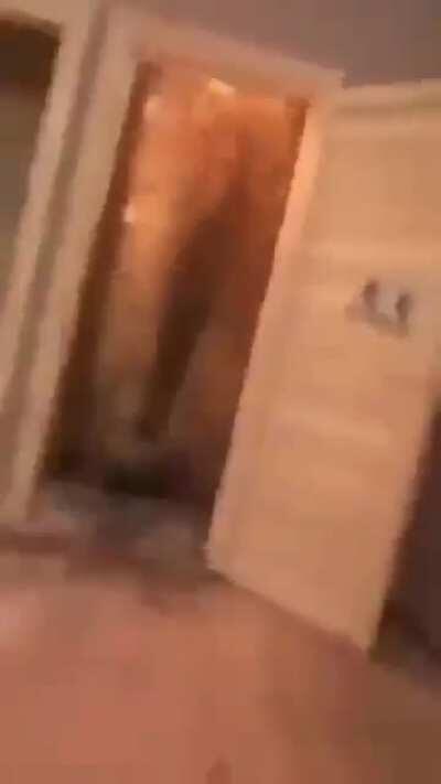 Doge Coins popularity after Elon Musk's shoutout...... or Elon Musk's first rocket when surya didn't exist