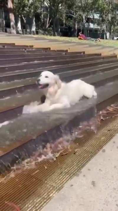 Just cooling off for the summer