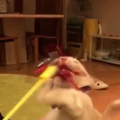 GIVE IT TO ME! GIVE! G........