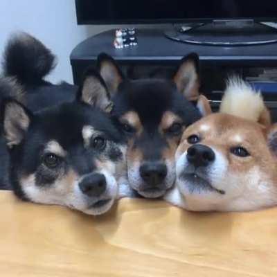 MoNsTeR eMeRgEs FrOm ThE uNdErWoRLd HuNgRy FoR rAw fLeSh!