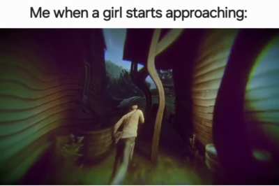 I am not an incel don't shut my meme down mods (pls)