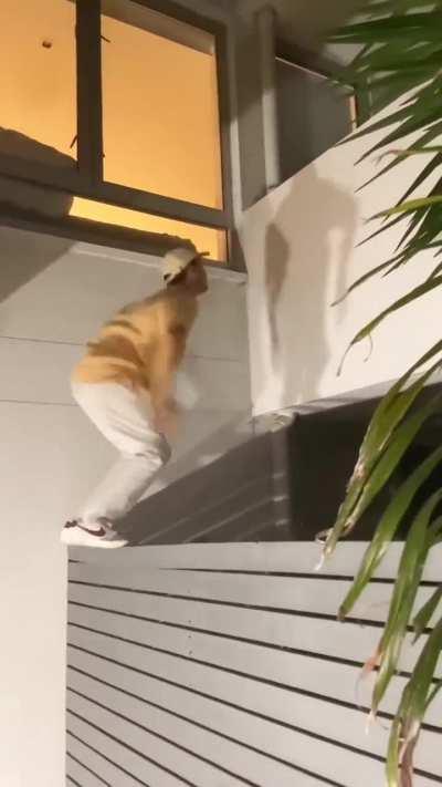 to jump to the 2nd level balcony 