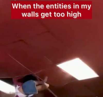 I TOLD THEM NOT TO GO UP THERE