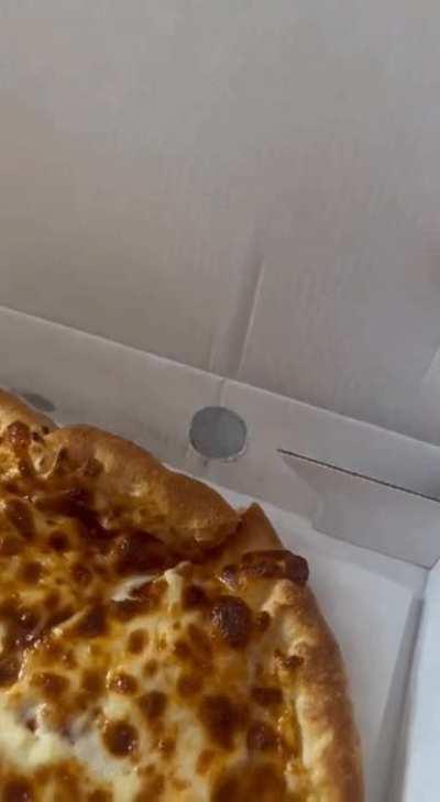 this is comfort or he thought that I would not see him