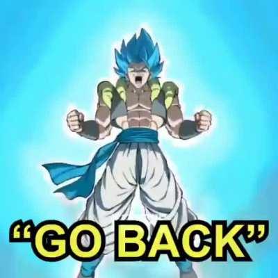 3rd year fusion warrior fans be like