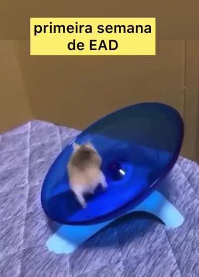 a realidade do aluno brasileiro