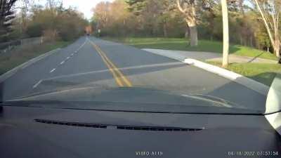 Happened yesterday on my way to work