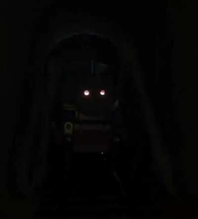 New sparrow be like...