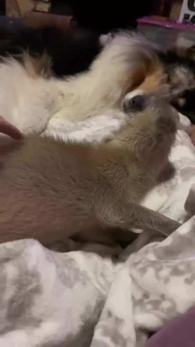 Enjoying the scratchies