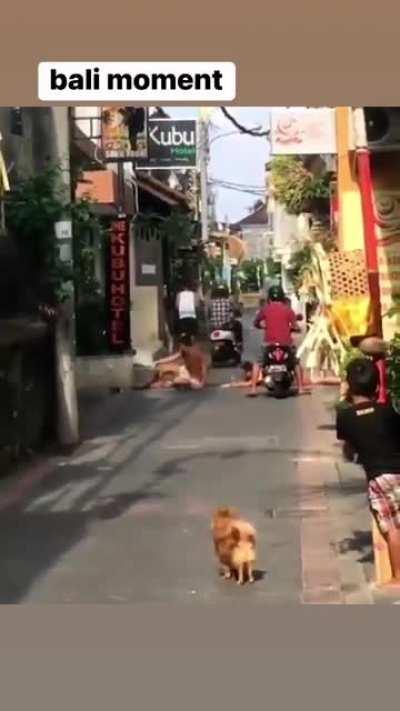 Most west*id-friendly Balinese