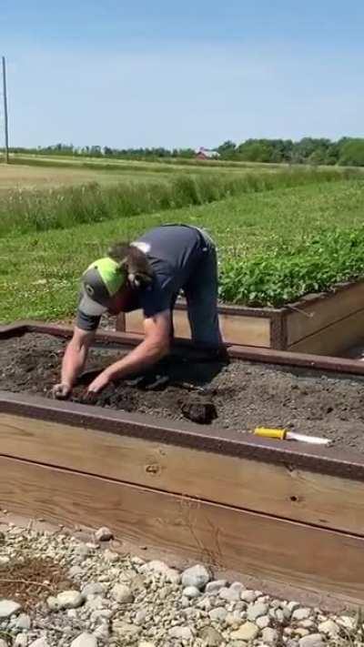 Quite possibly the best thing you will see on the internet today!