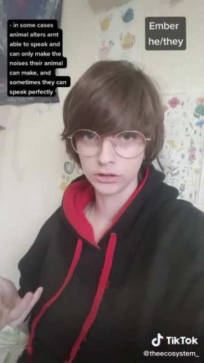 The whole account is so bizarre. One alter is Irish and one identifies as rain another identifies as ribbit or ribbit-self. I've seen some really far fetched ones but this takes the cake.