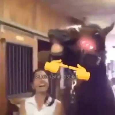 Ai qui bunitinhooo! 🗿🍷